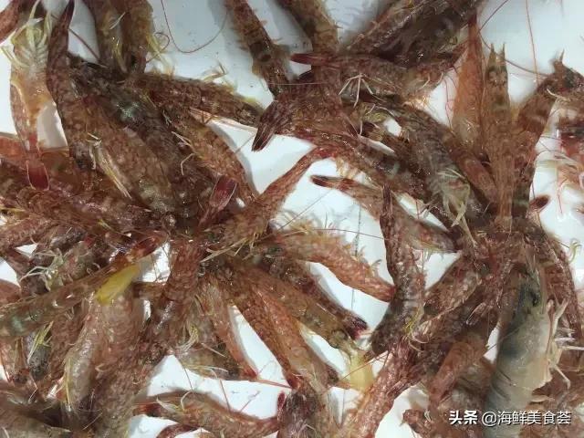 常见的鱼虾蟹等海鲜的认识,虾蟹类海鲜大全