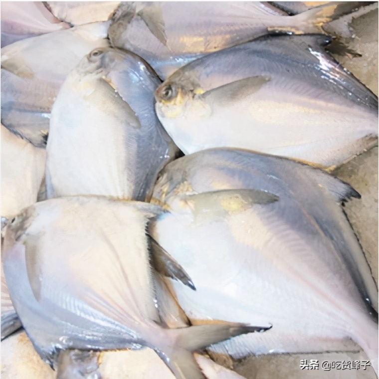 春节前卖什么鱼最好养殖,人工养殖鱼哪种最安全