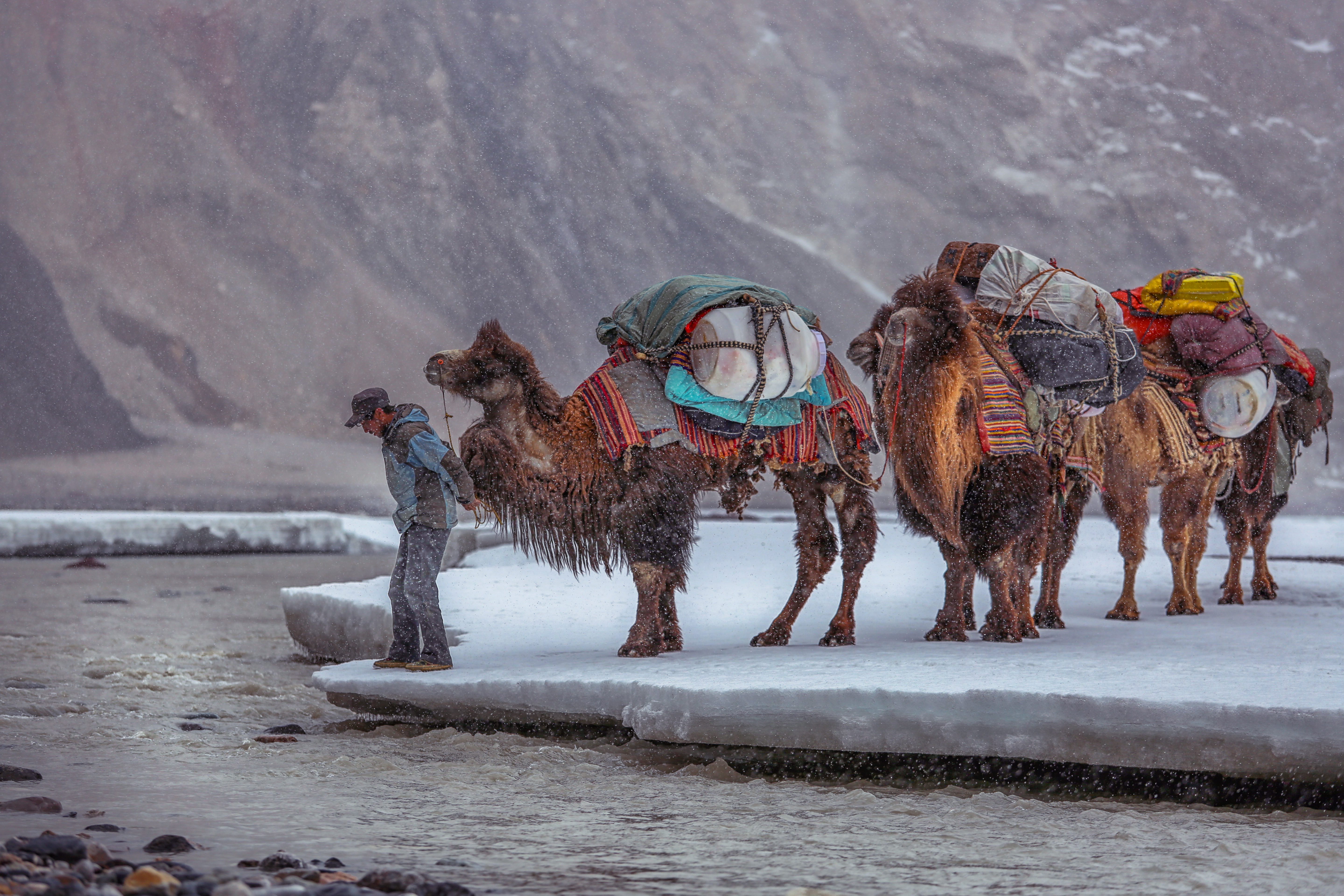苹果手机的拍照技术,苹果手机有哪些拍照技术