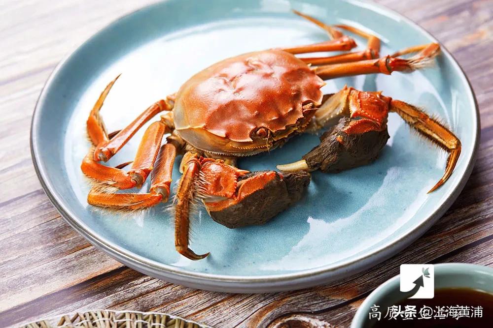 保存螃蟹应该放冷冻还是保鲜,怎么保存螃蟹才能存放更久呢