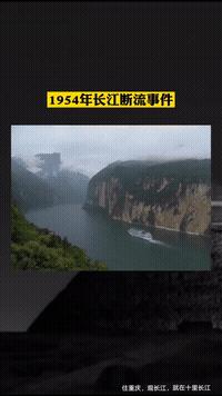 搞笑gif动图集合图,搞笑gif动图素材