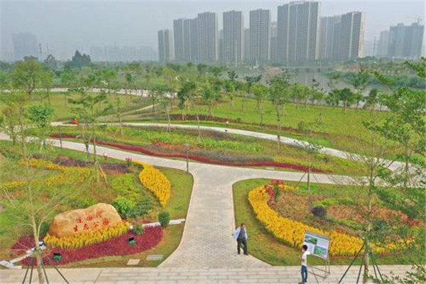 阳江海边旅游攻略路线推荐,楠溪江免费游最佳攻略