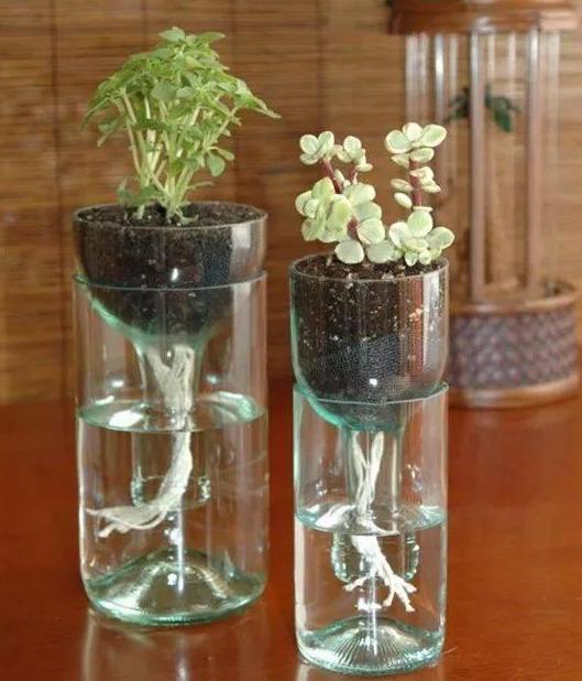 如何用塑料瓶做养花神器,今天教你如何让塑料瓶秒变盆栽