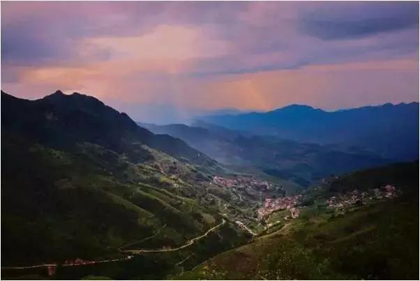 2017茶界大事,2019茶界十大事件