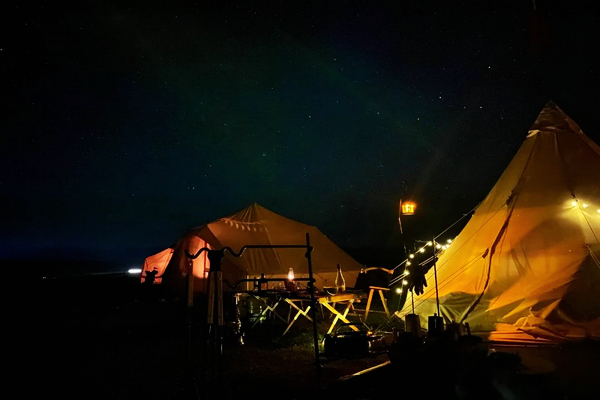 10月10日2020年*疆新**伊犁天马国际旅游节网络节庆重磅上线