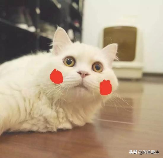 武汉医生闲鱼买鞋，满满的温暖！