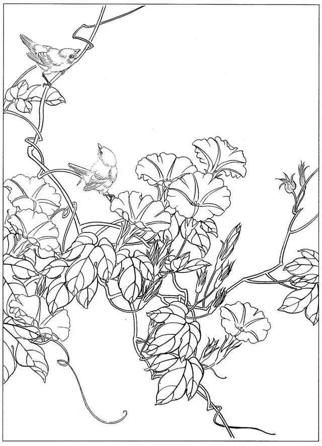 工笔花鸟白描步骤图,牡丹六尺横幅白描工笔花鸟底稿