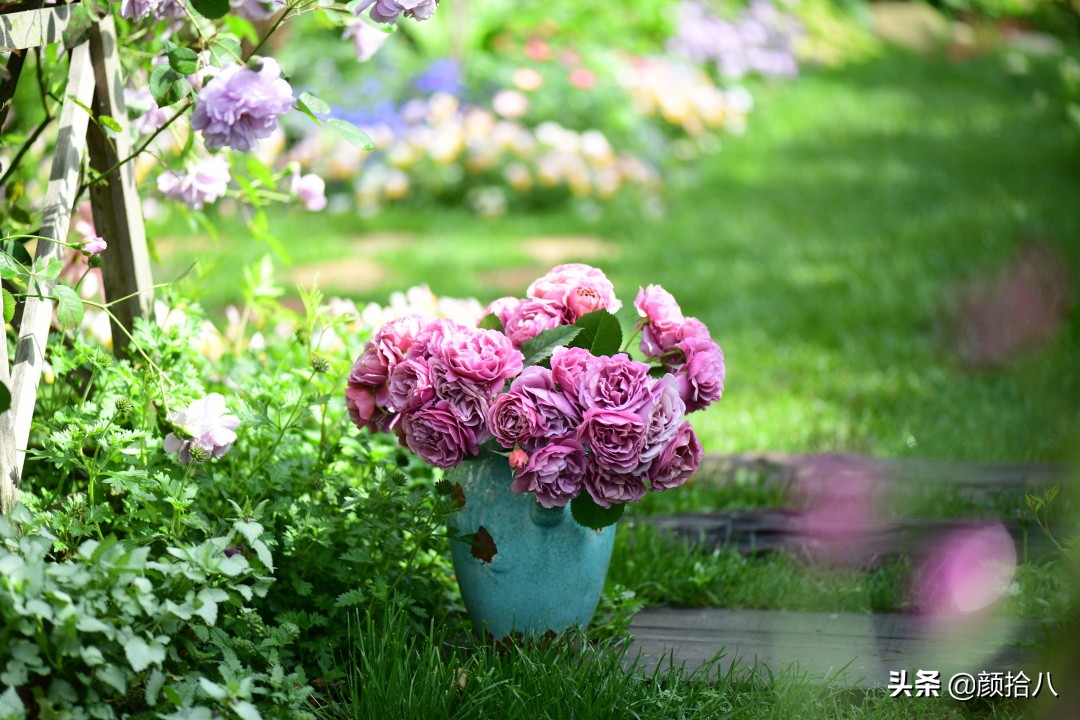 愿时光静止,愿时光静止在这一刻