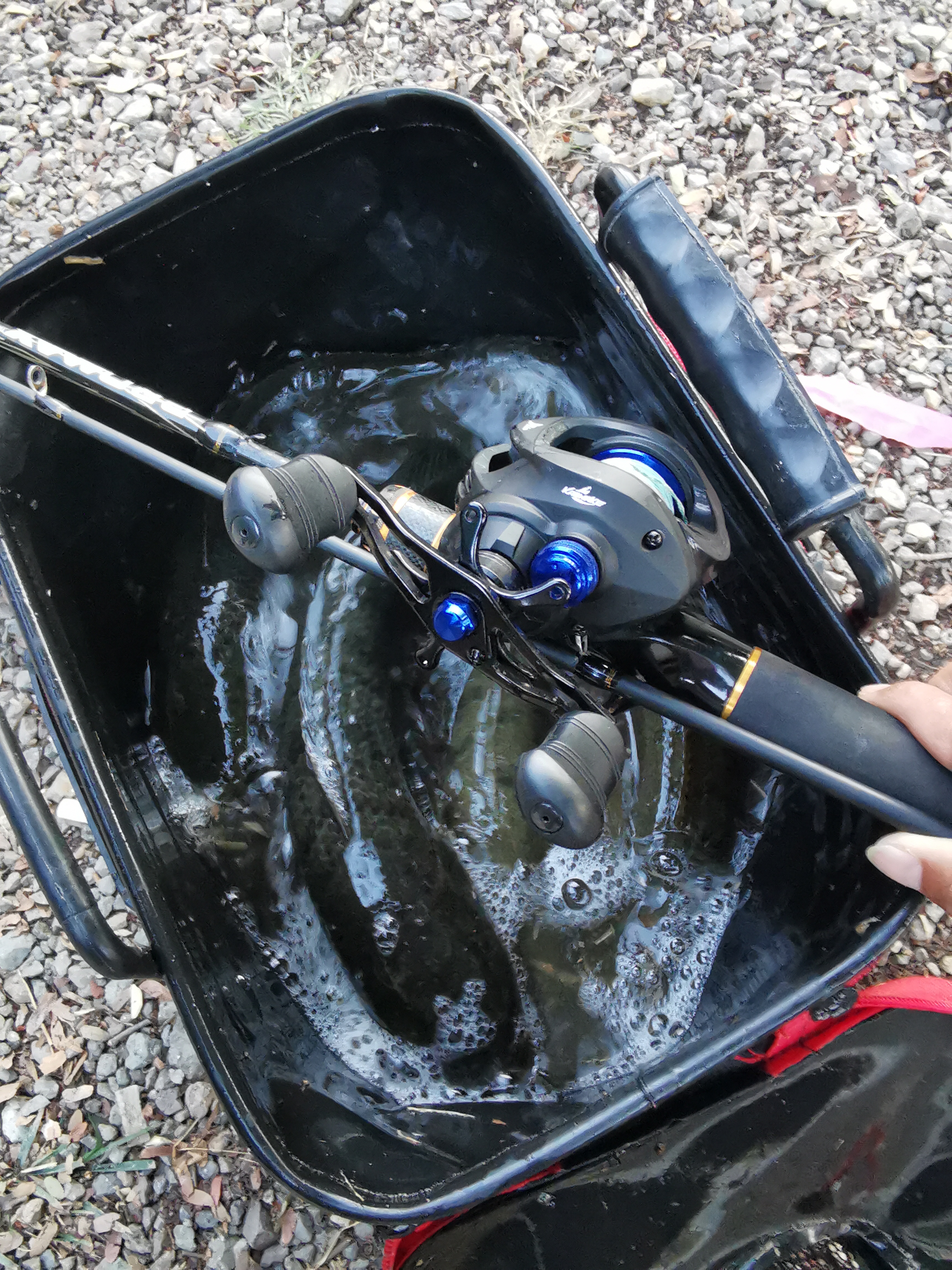 鲶鱼钓法什么时候钓鲶鱼最佳,夏日野钓鲶鱼怎么样好钓