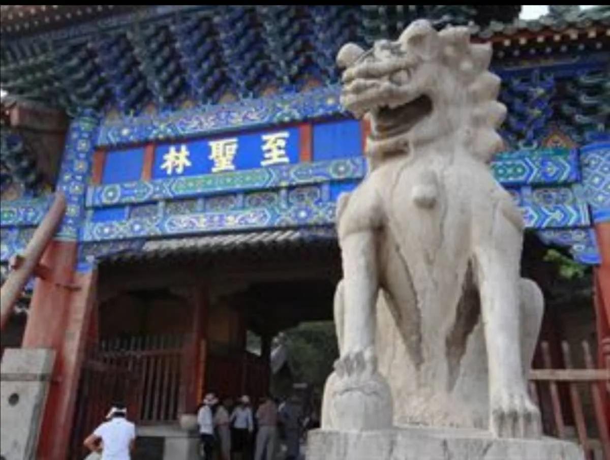 孔林门口到孔子墓多远,孔林及孔子墓有多少座