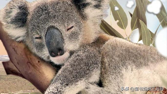 微笑围观美国网课：放过彼此，欢乐玩去吧，学习什么的都是浮云