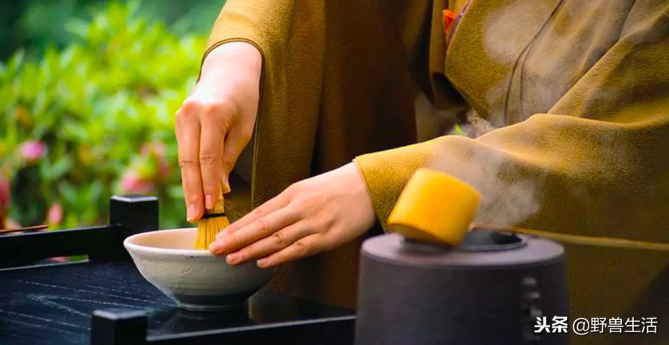 养胃抗衰老刮油的茶,喝这个茶竟能抗衰老