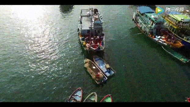 香港自由行遛娃,香港遛娃攻略