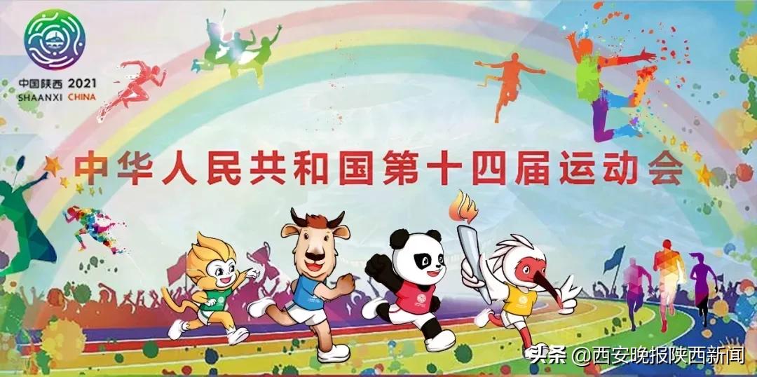 十四运会观赛,十四届运动会邮票珍藏