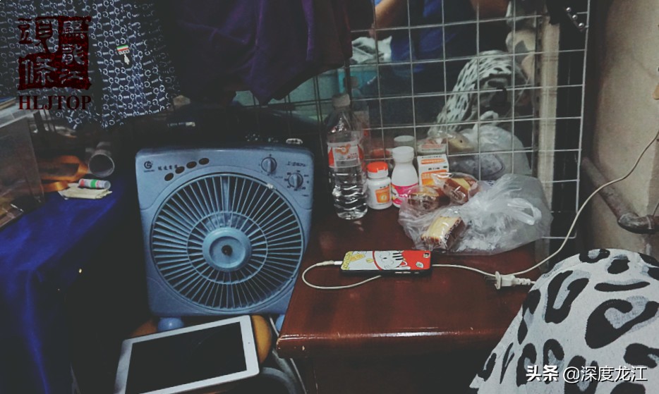 【冰城浮生记】“金太阳”老冀：看不到实体店曙光却依然守护希望