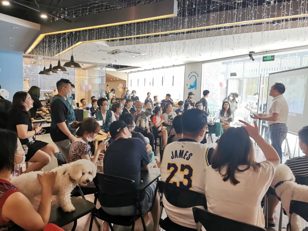 欢迎同行入内，这是一家为宠物店而开的宠物