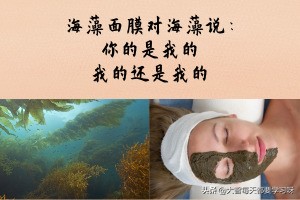 美白祛痘海藻面膜正确使用方法,海藻面膜怎么美白效果最好