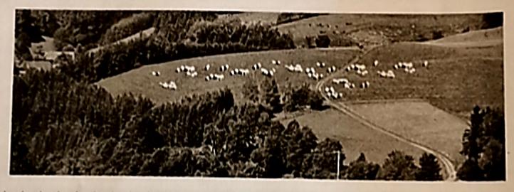 初中生物学业水平考试电子版,初中生物学业水平考试质量分析