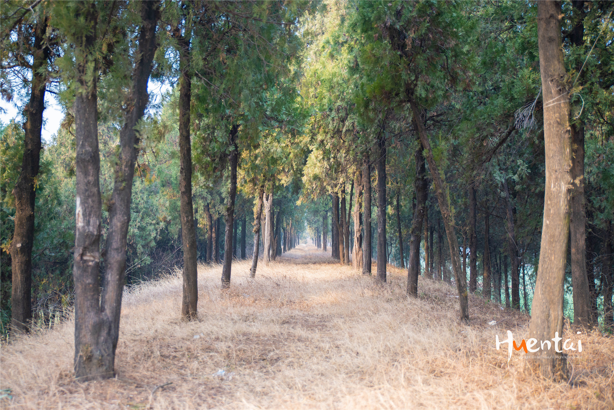 安徽皖南古村落排名,安徽最值得旅游五大古村落