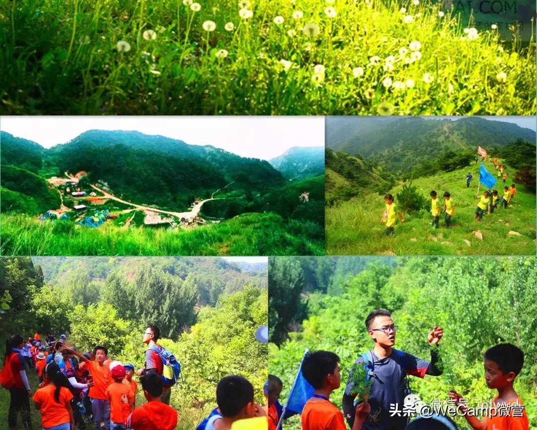 济南比较好的小学生夏令营,山东小学生夏令营