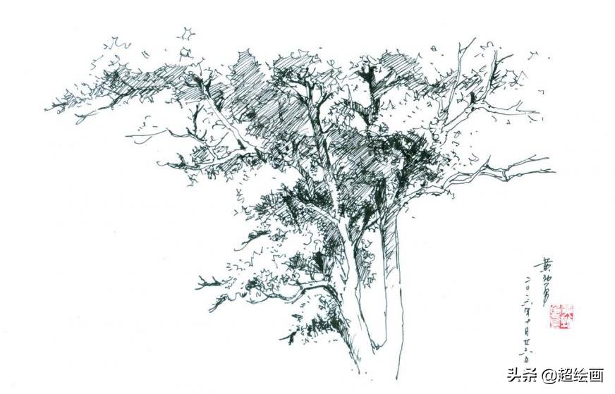 十大顶级钢笔画速写,钢笔速写100幅图片