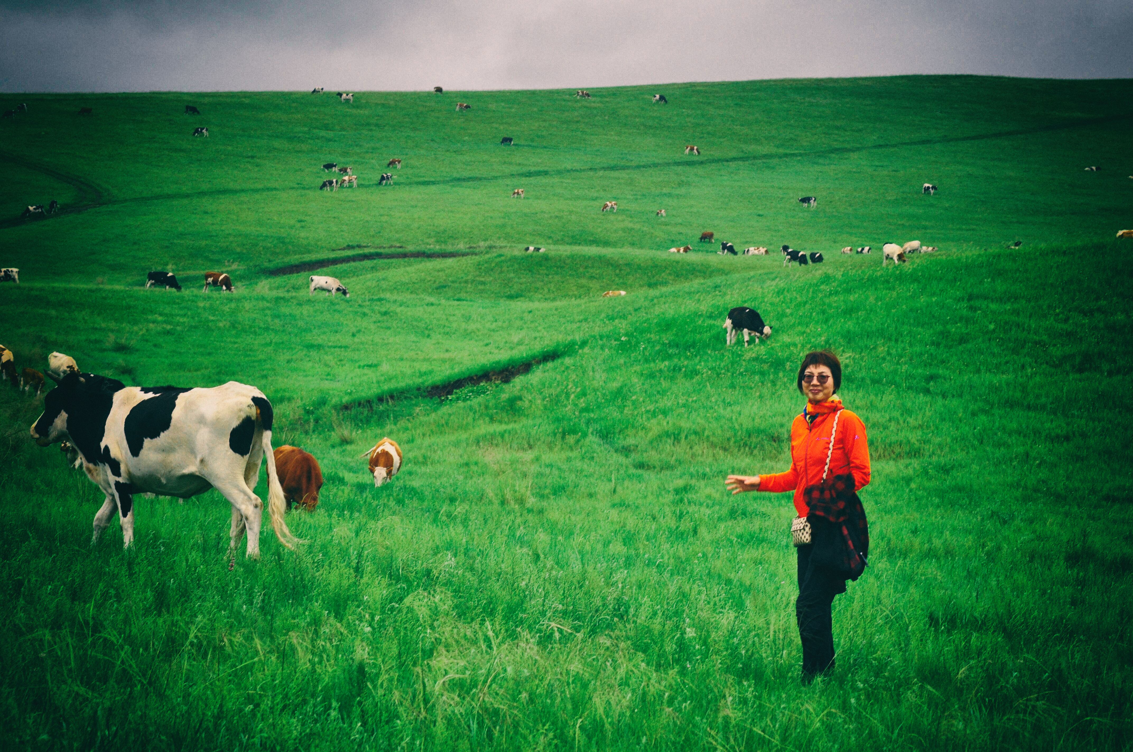 南方人自驾来东北是啥体验,15天一万公里的新疆感受