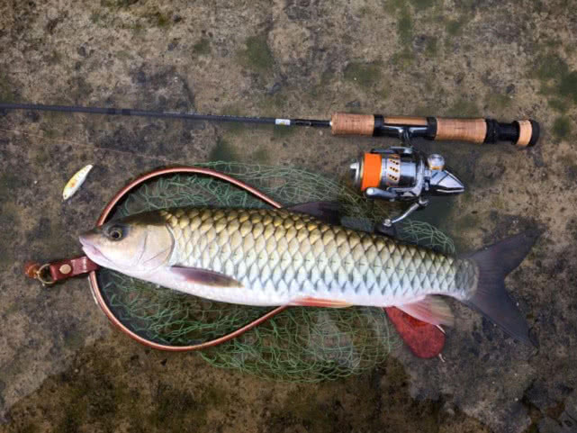 路亚新手装备推荐品牌,路亚马口新手装备推荐