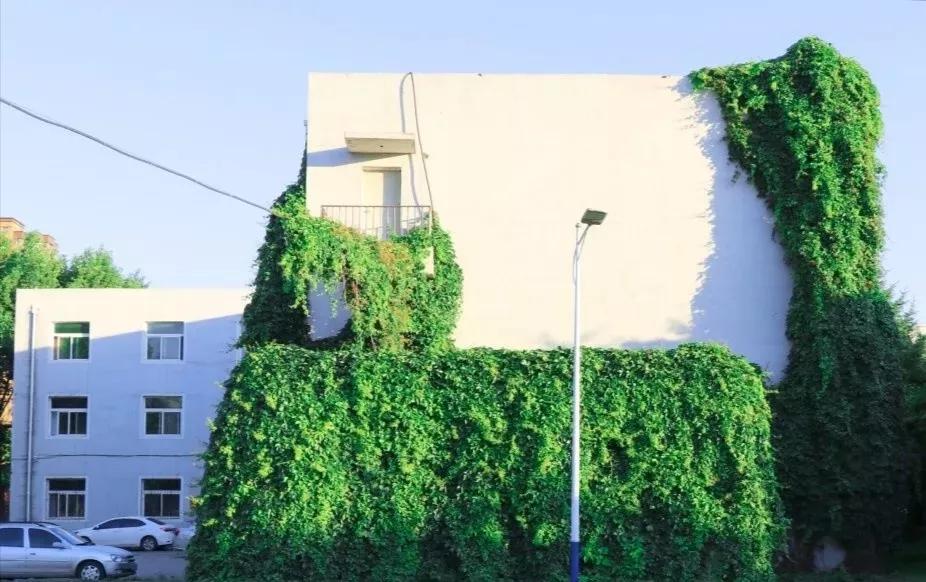 辽宁沈阳的医学大学,了解一下沈阳医学院