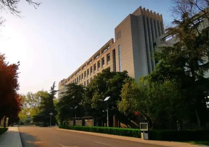 全力以赴,全力以赴重逢可期