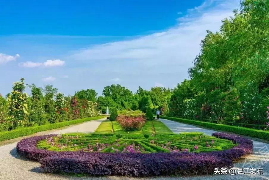 金温江国际水球赛开赛在即，点击领取门票！