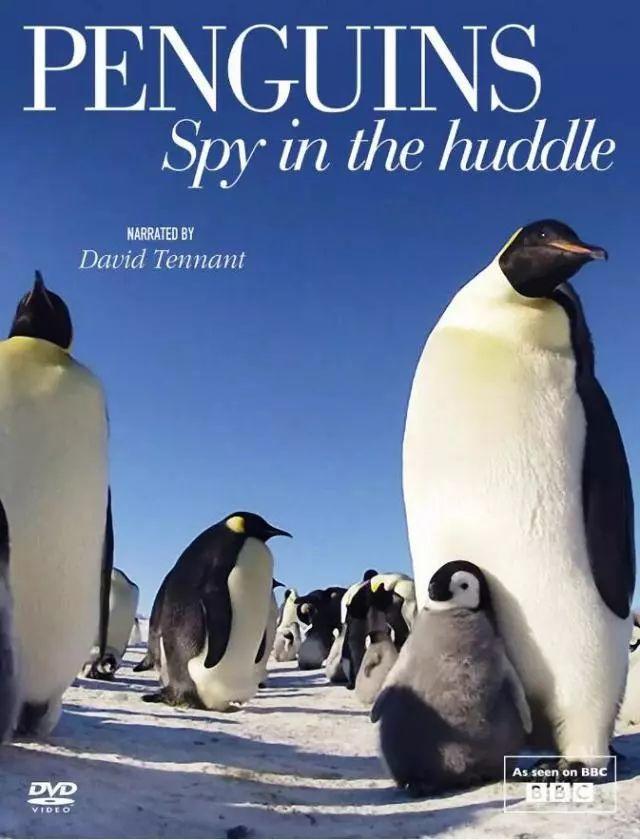 喜羊羊与灰太狼原始世界纪录片,喜羊羊与灰太狼每部片讲述的道理