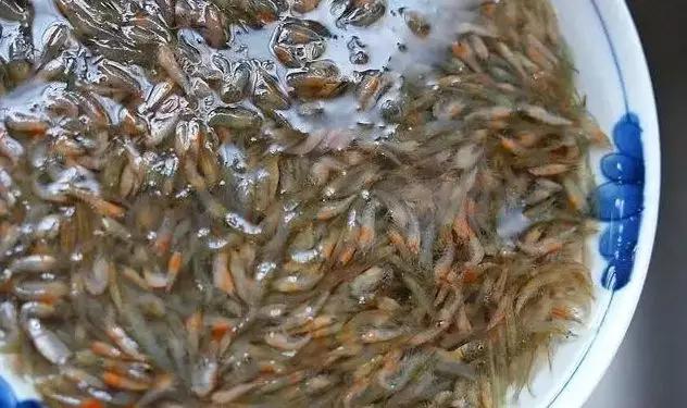 怎样用韭菜炒小虾,韭菜炒干小鱼小虾怎么炒