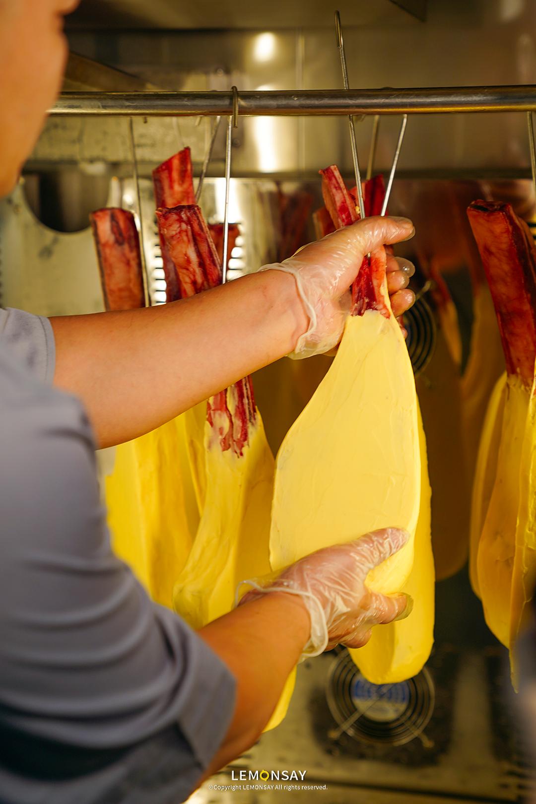 它来了深圳科技有限公司,他来了日本电影