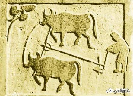 徐州双沟镇什么时候改成观音镇了,江苏徐州睢宁双沟改名观音镇吗