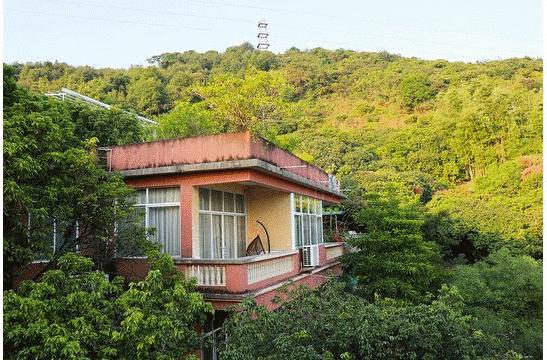 偷偷告诉你驴友们常去的从化小众特点小镇~比森林公园更美更好玩