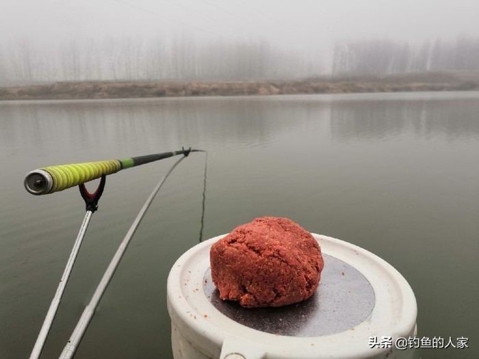 野河武昌鱼怎么钓,秋季武昌鱼钓法