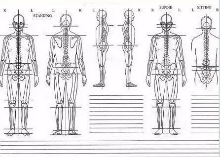 健身教练bmi多少,健身教练bmi标准
