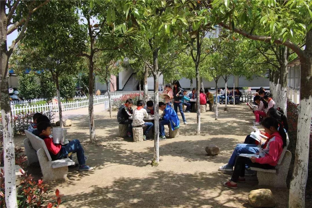 赣州兴国县教学质量“五强乡镇”首度出炉