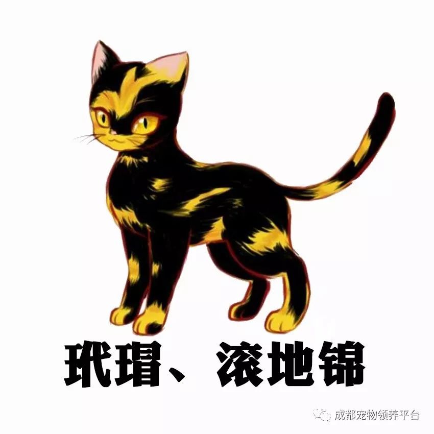 谁说土猫无名猫？快来围观古代猫谱，你家有没有镇宅神兽！