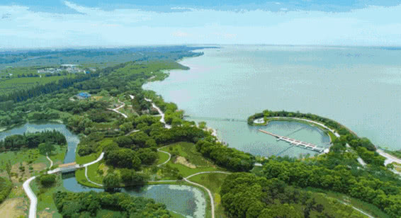 上海一体化青浦区,长三角一体化示范区青浦区