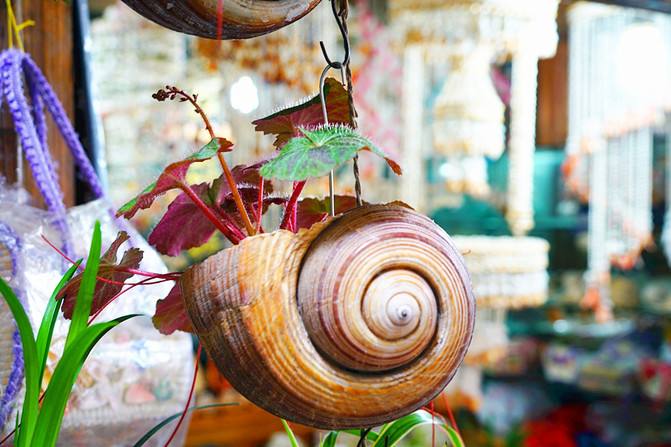 在家里做又简单又好看的花盆,花盆也能自己做省钱环保又新意