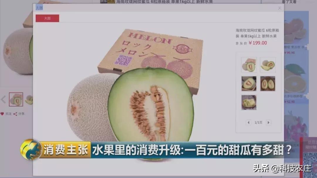 甜瓜最好卖的有哪些品种,菠萝猕猴桃芒果甜瓜什么最贵