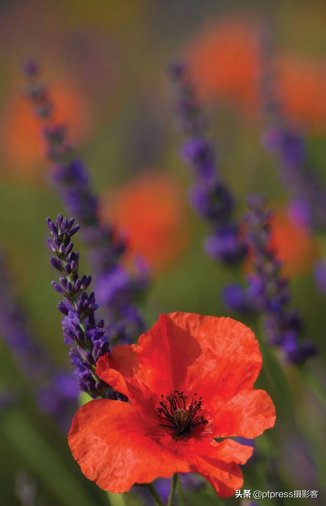 光圈值越大光圈越大正确还是错误,相机光圈与镜头光圈的关系