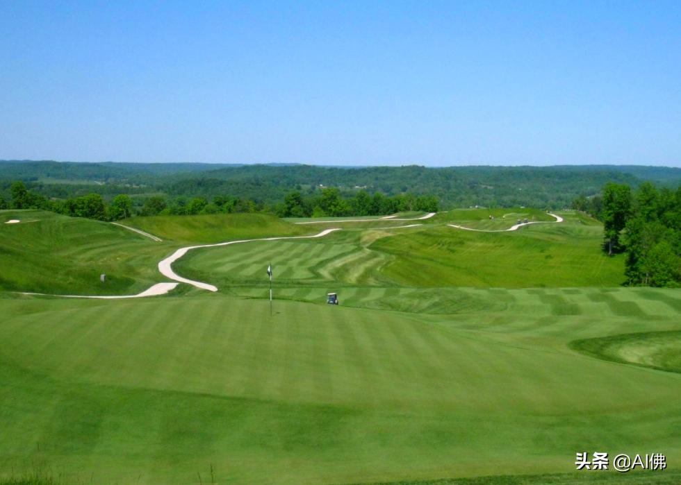 美国圆石滩高尔夫球场,美国高尔夫球场数量