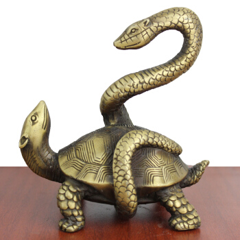 古代*楼青**的男女工作人员为什么被叫做“龟公”、“鸨母”？