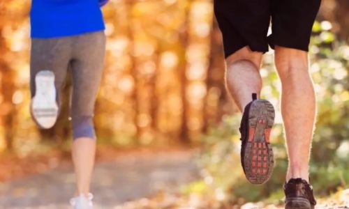 锻炼的音乐歌单,播放我的运动歌单