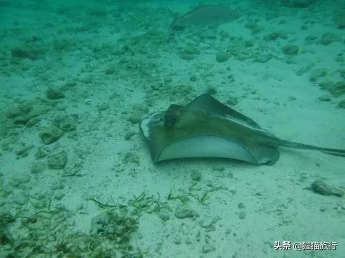 开曼群岛地理位置和版图,开曼群岛是以前哪个国家的领土