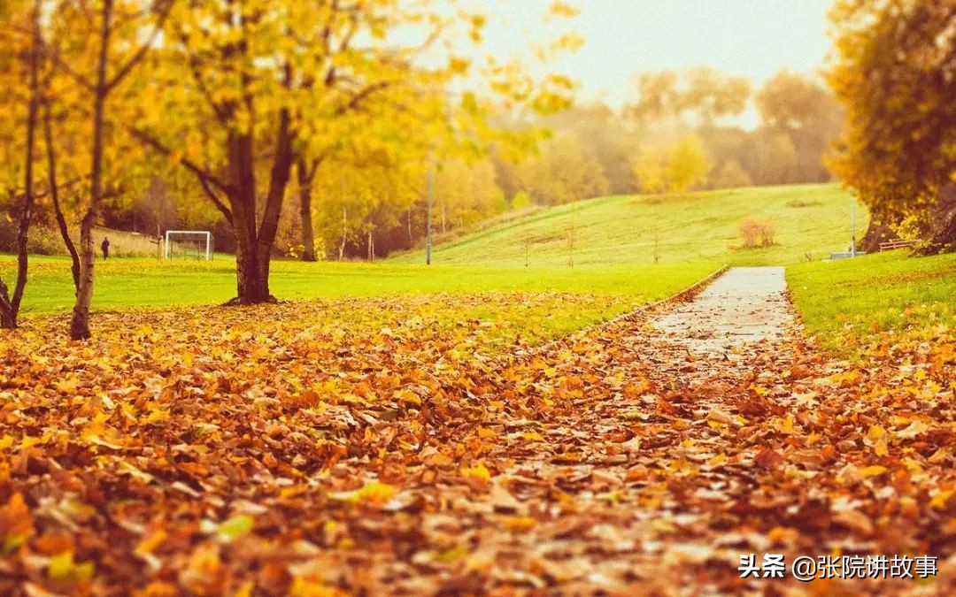 「张院讲故事」备孕妈妈心痛，医生头痛，宫腔粘连的危害这么大