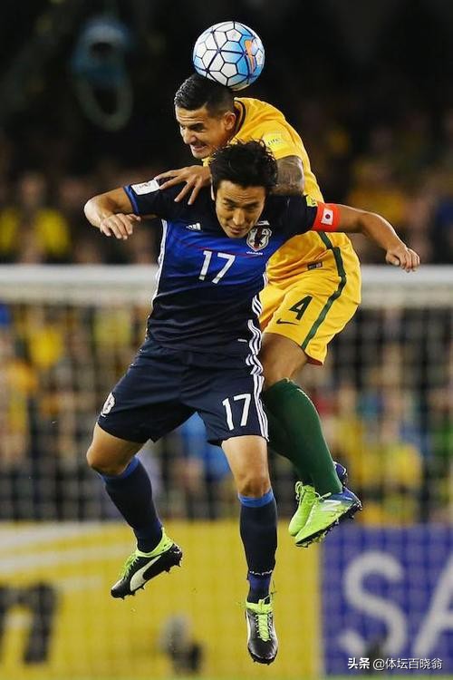 他身高不高但弹跳力很强,他身高只有1米2