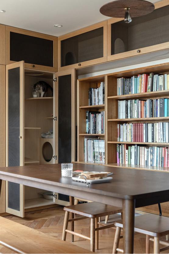 年轻人一人一猫的独居生活,一屋一人一猫的生活视频